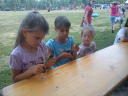 falunap2013_7_20180901
